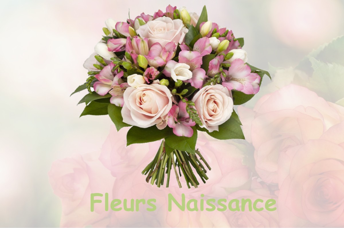 fleurs naissance VARENNES-CHANGY